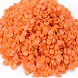 Manufacturers Exporters and Wholesale Suppliers of Malka Dal Bhilwara Rajasthan